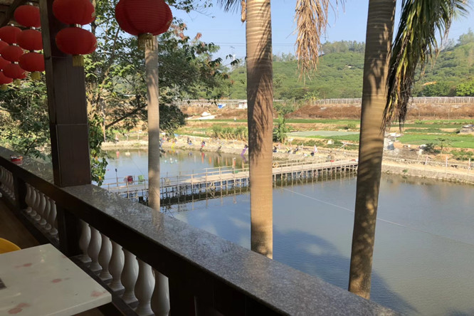 农场风光.jpg